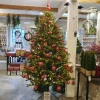 JULETRÆ GRAN 220 CM LED 620